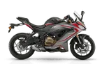 SRK250RR