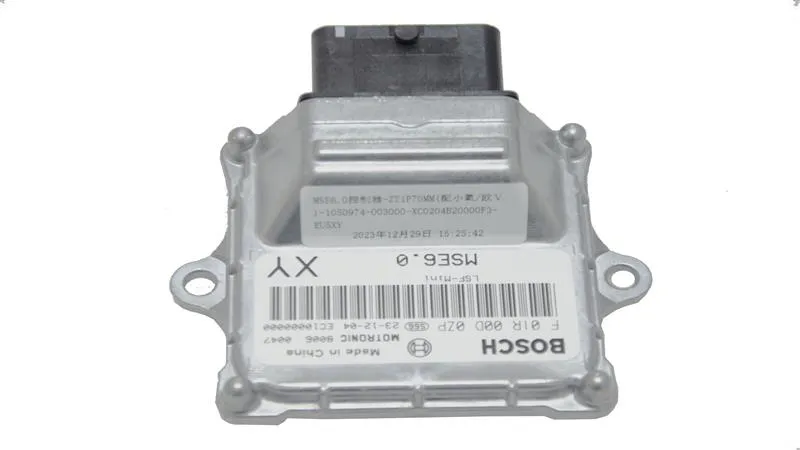 BEYİN (RZ250-S)