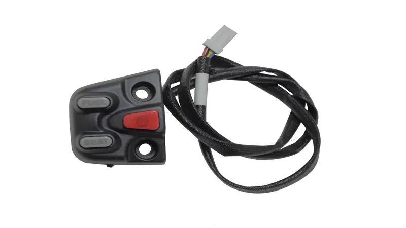 KOLTUK ve DEPO KAPAĞI KUMANDASI RZ250-S ZT250T-E