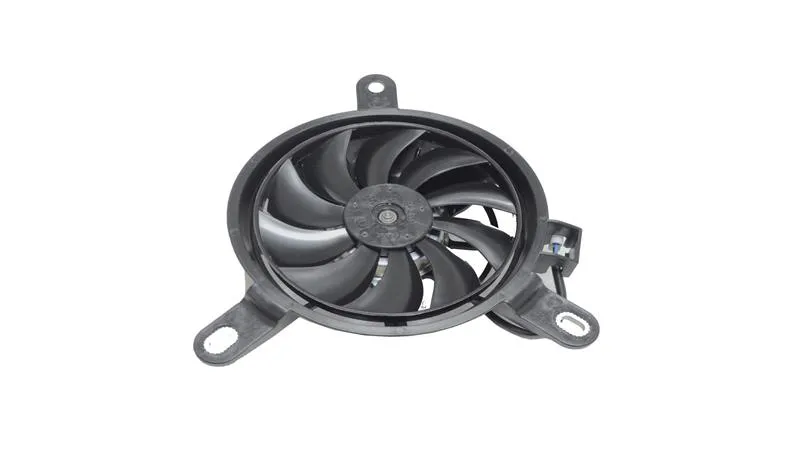 FAN (RZ250-S)