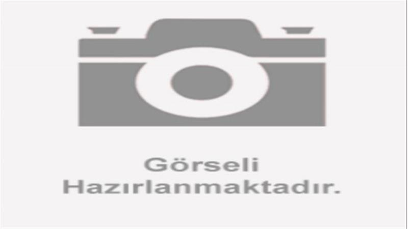 KOLTUK KİLİT HALATI (BITTER125)