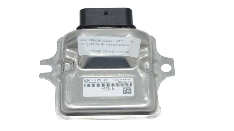 BEYİN (RZ125)