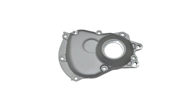 ŞANZIMAN KAPAĞI (VIESTE249)