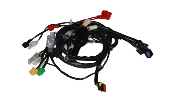 ELEKTRİK TESİSATI (WILDCAT)