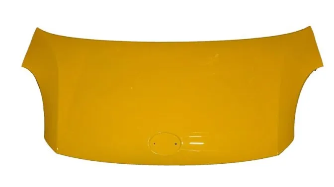 ÖN KAPUT SARI (D2)