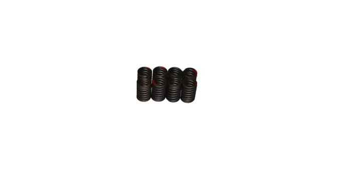 SUPAP YAYI 8'Lİ TAKIM (RS400)